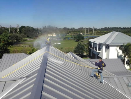 Will Roof Cleaning Kill Plants or Landscaping? (Soft Wash Safety Explained)