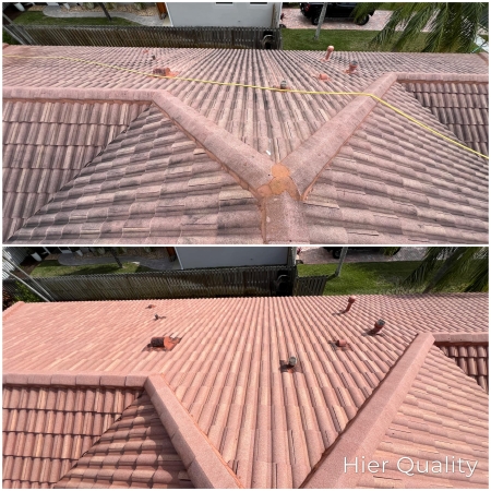 What’s Lurking on Your Roof? The Hidden Dangers of a Dirty Roof (and How Roof Cleaning Protects Your Home)